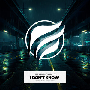 i don't know by Sebastien Castillo