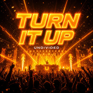 Turn It Up by Undivided
