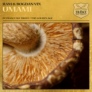 Umami by RAM, Bogdan Vix