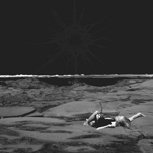 Follow the Body - 2026 Version by Zanias