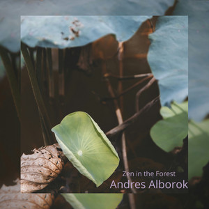Zen in the Forest by Andres Alborok