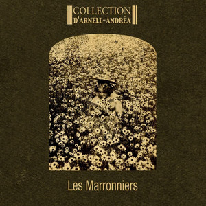 Collection (Anton's Mind's Getting Blind) by Collection D'Arnell-Andrea