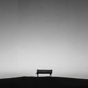 내 편 by 결의 온도