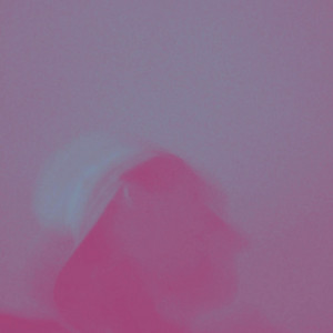 wie ich wollte by BNDC