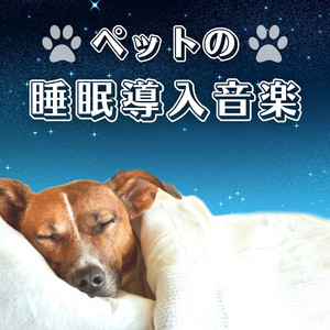 ペットの睡眠障害解消 Song By 動物スリープ Spotify