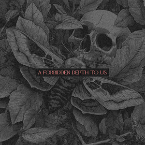 A Forbidden Depth To Us by M A CE