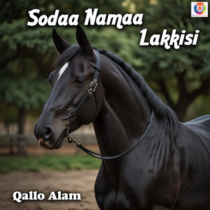 سودة نعمة لاكيسي