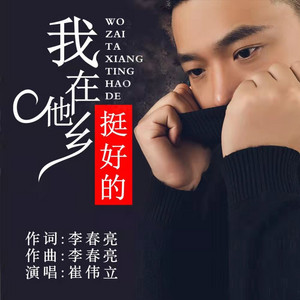 我在他乡挺好的 by 崔伟立