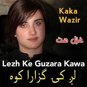 Kaka wazir - Lezh Ke Guzara Kawa