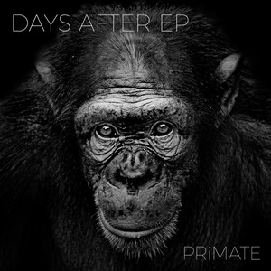 PRiMATE - For Now