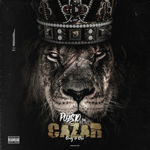Puesto Pa Cazar by Omy de Oro