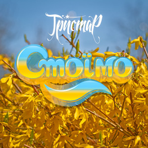 Стоїмо