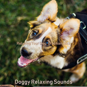 Relaxing Your Dog, Brazilian Jazz album