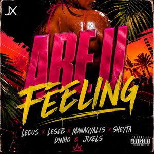 ARE U FEELING by JIXELS, DINHO, LECUS, LESEB, MANAGYALIS, SHEYTA