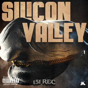 Silicon Valley (Hefner)