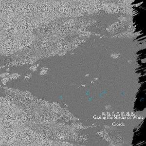 凝視白色的邊界 Gazing the Shades of White