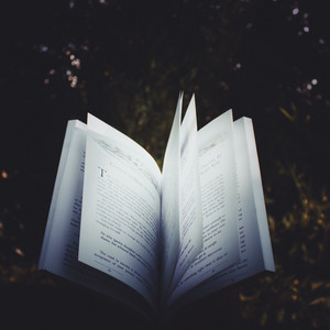 Cleyton David - Intro