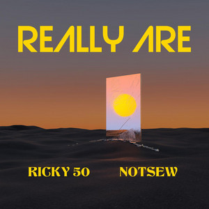 Who You Really Are by Ricky 50, Notsew
