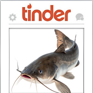 Catfished by Mos Calm