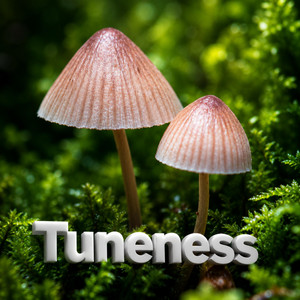 Golden Vibe by Tuneness