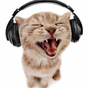 TIKTOKCOULDNTFINDIT - Fuera del planeta (instrumental) meow