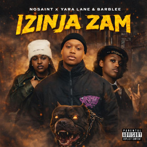 Izinja Zam