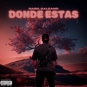 Donde Estas