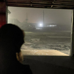 Cleary - Object Permanence