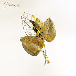 Changes by TAPES