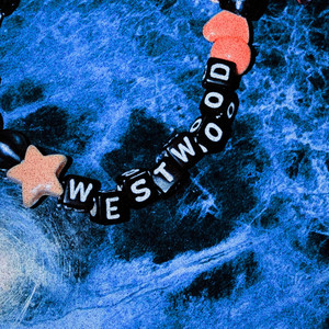 IS IT LOUD ENOUGH by WESTWOOD