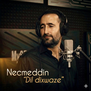 Necmeddin - Dil dixwaze