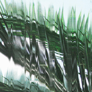 Palmview by Sonny Daze