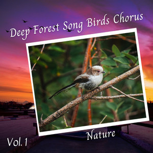 Nature: Deep Forest Song Birds Chorus Vol. 1 album