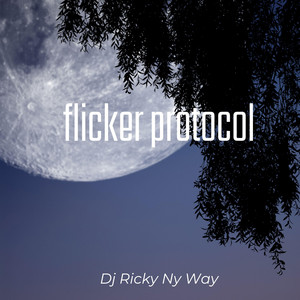flicker protocol by Dj Ricky Ny Way