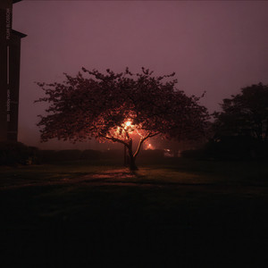 plum blossom by bobby.wav