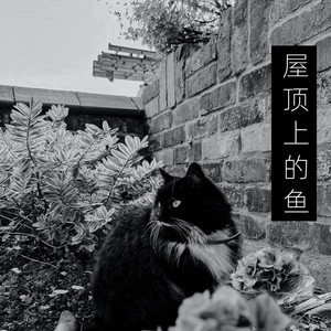 屋顶上的鱼