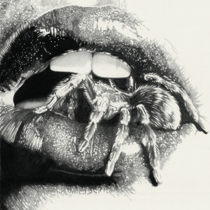album cover: Let The Spiders In