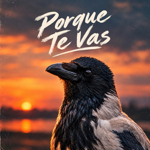Porque Te Vas by MZX Music