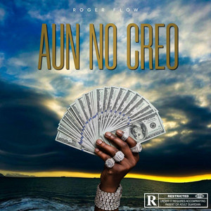 AUN NO CREO by RogerFlow
