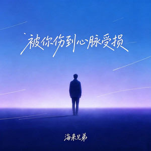 被你伤到心脉受损 - 伴奏 by 海来兄弟