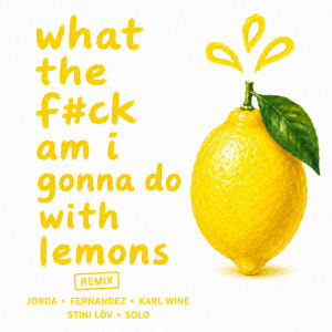 wtf am i gonna do with lemons - DJ SOLO & Stini Löv Remix Radio Edit by Jorda, Fernandez, Karl Wine, DJ SOLO, Stini Löv