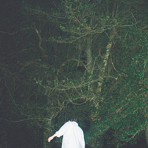 Chase the Bloom by Kate de Rosset