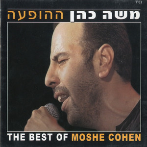 Moshe Cohen - משחקי קלפים
