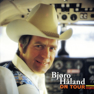 Bjøro Håland - I'll Take the Blame