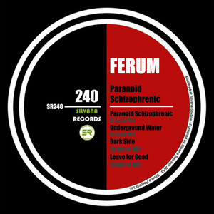 Dark Side - Original Mix by Ferum
