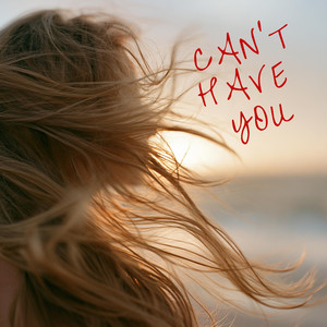 can't have you by Naomi Rue