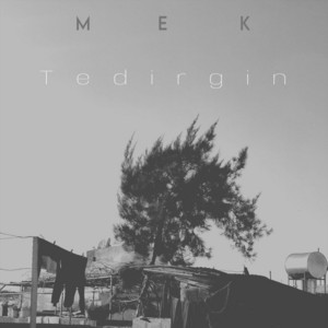 Tedirgin