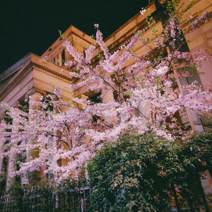 the nights by Project AER