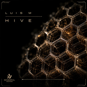 Hive by Luis M