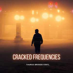 Magnetic Fade by Taurus Broken Vinyl